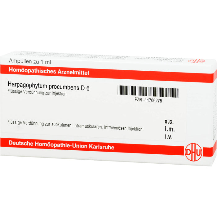 Harpagophytum procumbens D6 DHU Ampullen, 8 pc Ampoules