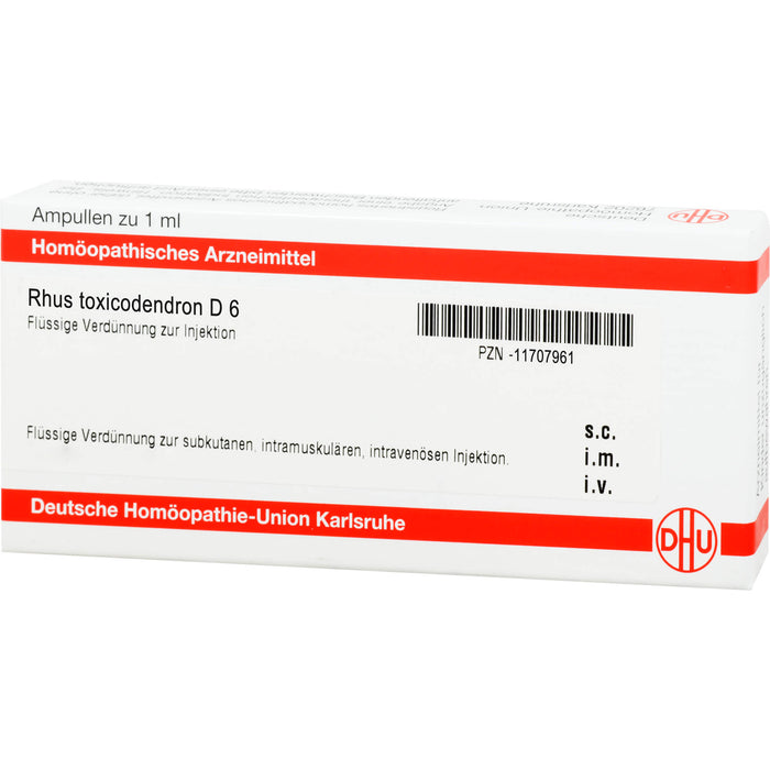 DHU Rhus toxicodendron D6 Ampullen, 8 St. Ampullen