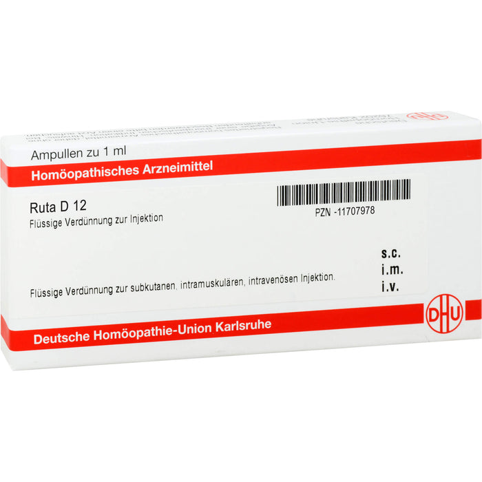 DHU Ruta D12 Ampullen, 8 pcs. Ampoules