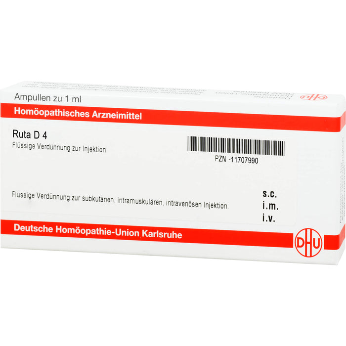 Ruta D4 DHU Ampullen, 8 pcs. Ampoules