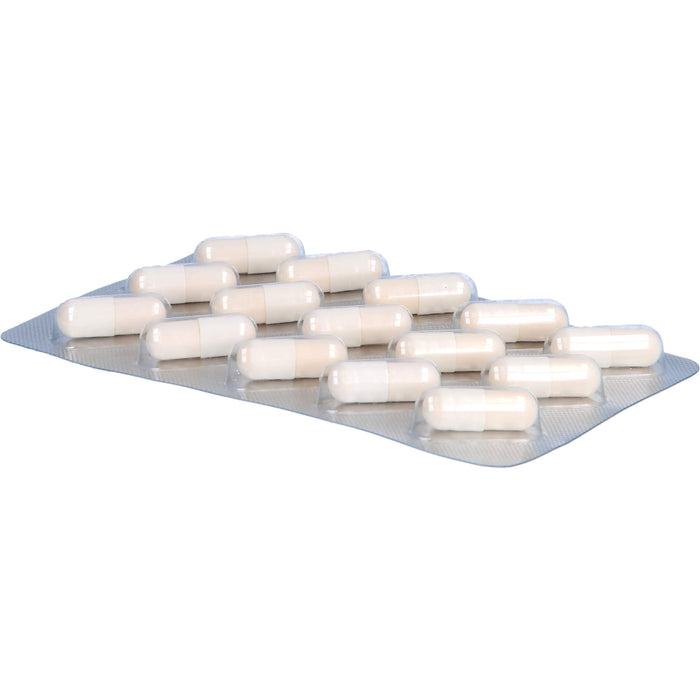 Fertilovit F 35 plus Kapseln für die Frau über 35 mit Kinderwunsch, 90 pc Capsules