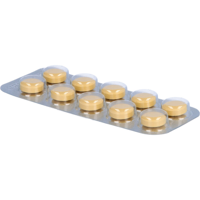 Gingobeta 40 mg Filmtabletten zur Unterstützung von Gedächtnis und Konzentration, 60 St. Tabletten