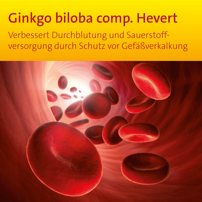 Ginkgo biloba comp. Hevert bei Gefäßverkalkung, 100 ml Solution