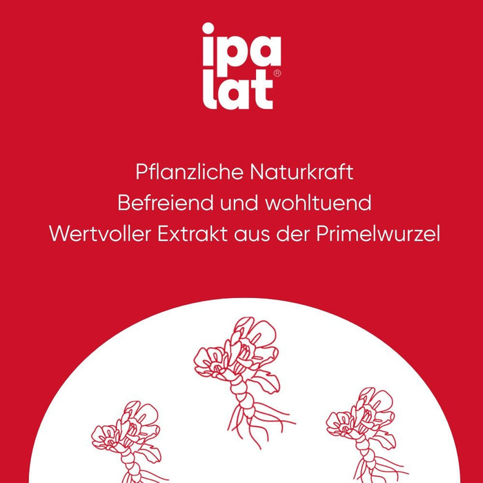 ipalat Die Halspastille Zuckerfrei, 40 St. Pastillen