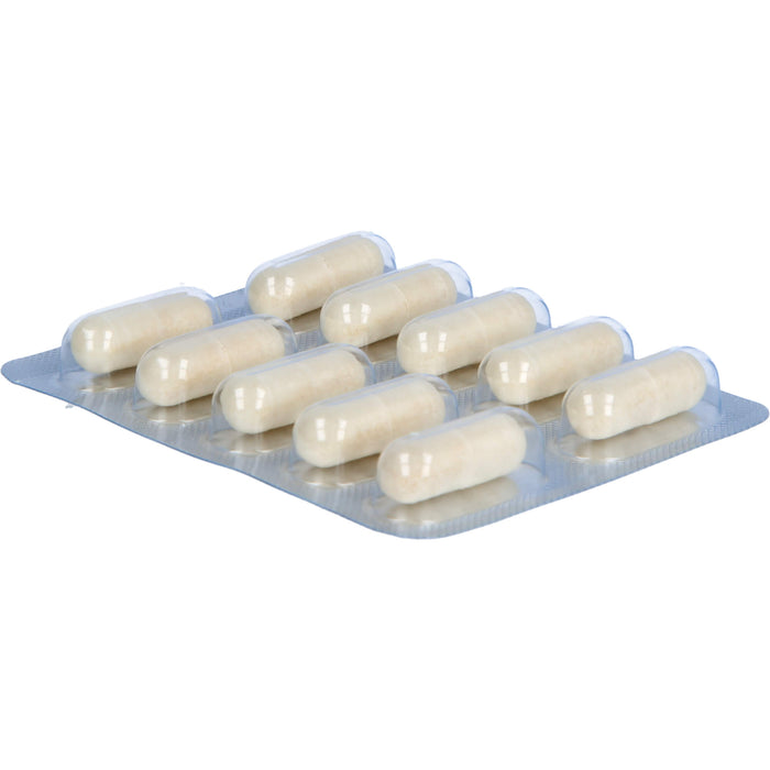 Innovall Microbiotic CDI Kapseln, 10 pcs. Capsules