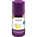 TAOASIS Fenchel bio Ätherisches Öl, 5 ml ätherisches Öl