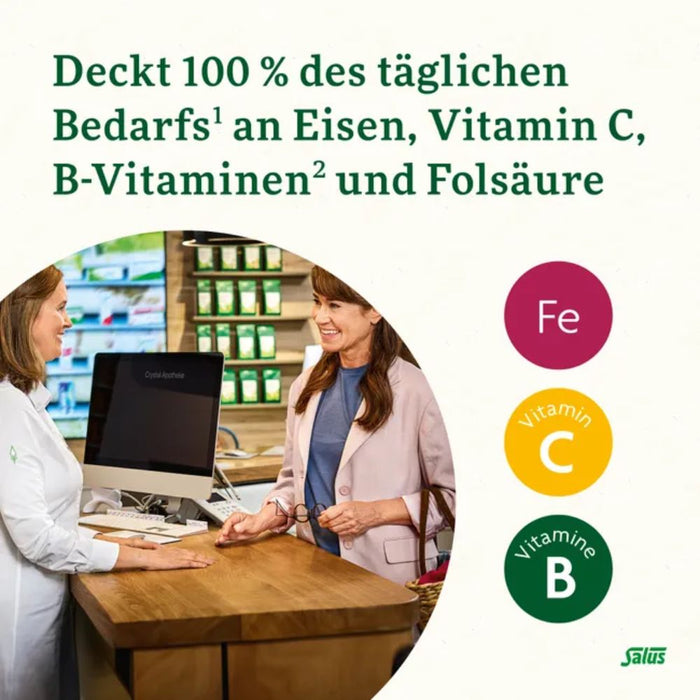 Floradix Eisen Sticks für die schnelle Eisenversorgung mit Lemongrass Himbeer Geschmack, 20 pc Bâtonnets