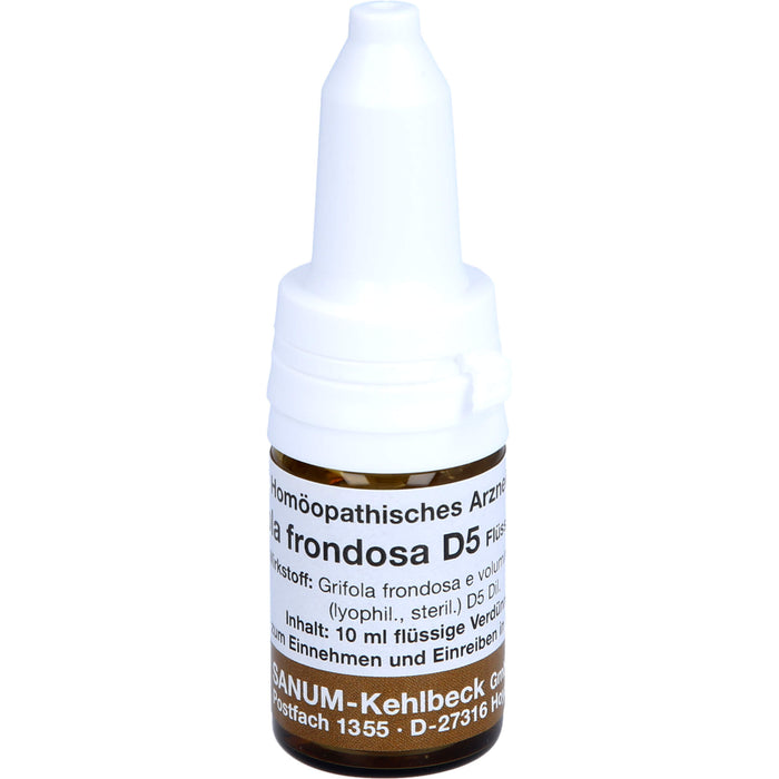 SANUM-KEHLBECK Grifola frondosa D5 flüssige Verdünnung, 10 ml Solution