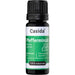 Pfefferminzöl Naturrein Ätherisches Öl, 10 ml AEO