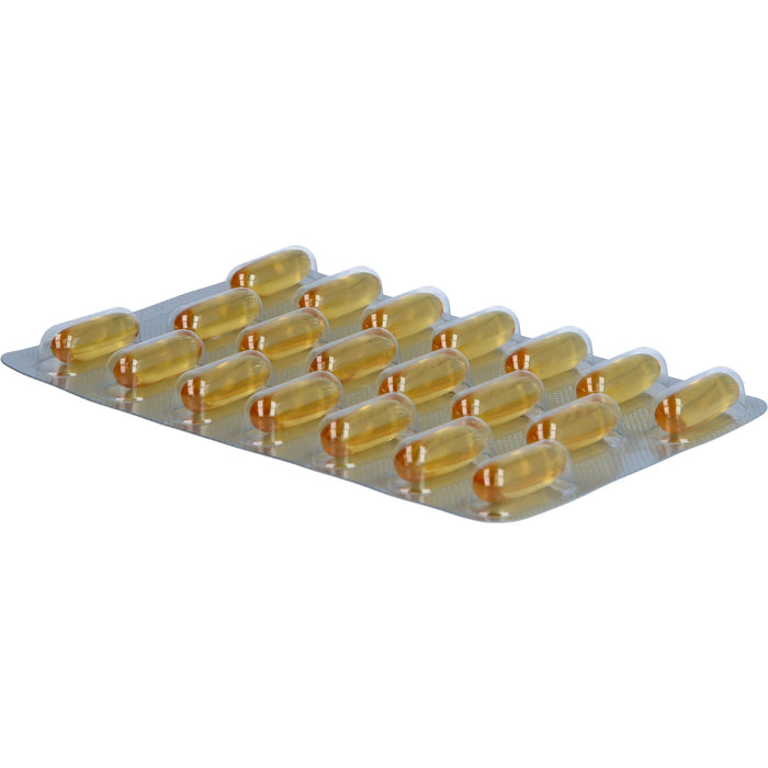 boswellia-Loges  Weihrauch-Kapseln, 120 pcs. Capsules