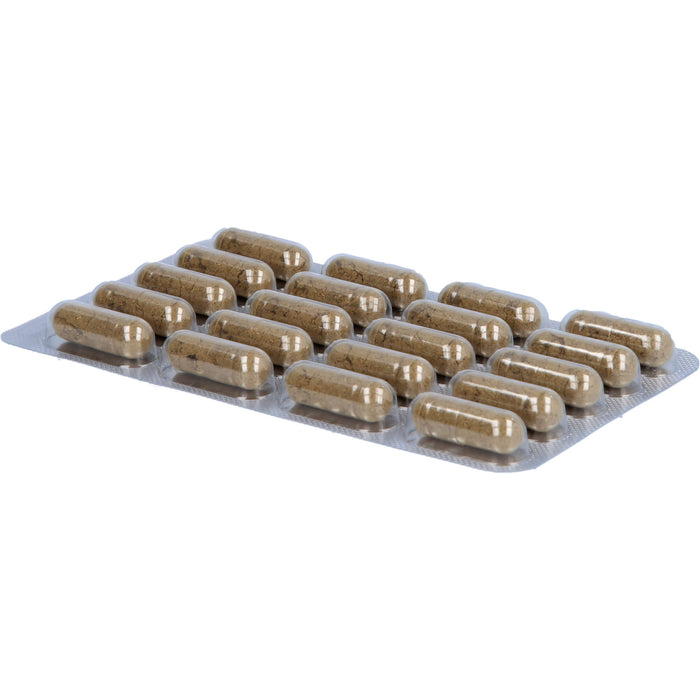PADMA 28 active Kräuterkapseln zur zellulären Ernährung für Blutgefäße, Immunsystem und zum Schutz der Zellen vor oxidativem Stress, 100 pcs. Capsules