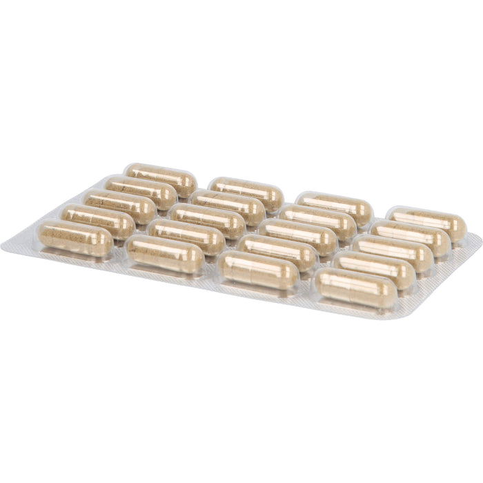 PADMA 28 active Kapseln für eine normale Funktion der Blutgefäße durch normale Kollagenbildung, 200 pc Capsules