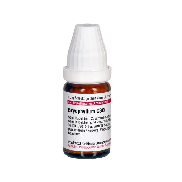 DHU Bryophyllum C30 Globuli, 10 g Globules