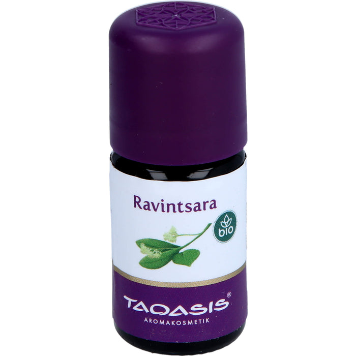 TAOASIS Ravintsaraöl bio ätherisches Öl wirkt stärkend und stabilisierend, 5 ml ätherisches Öl