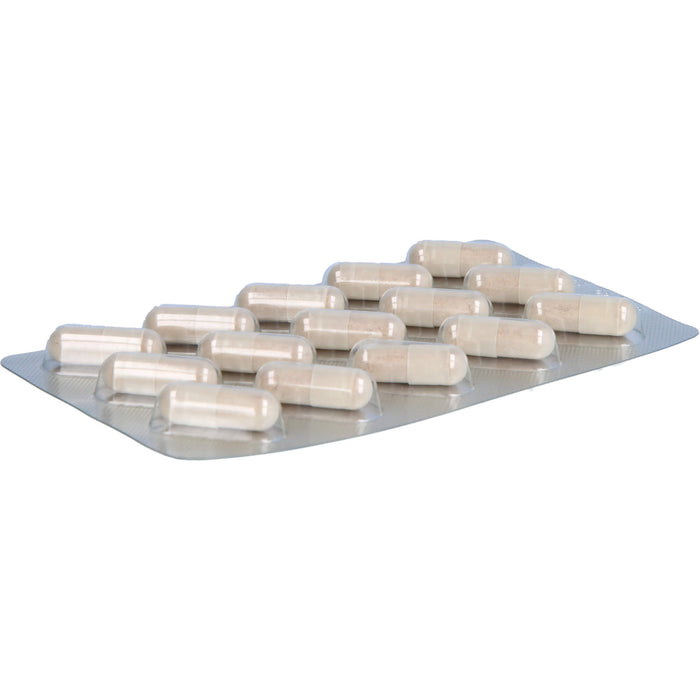 GLYCOWOHL extra Kapseln für einen gesunden Blutzuckerspiegel, 90 pcs. Capsules