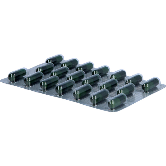 Catechin-Loges Grüntee-Kapseln, 120 pcs. Capsules
