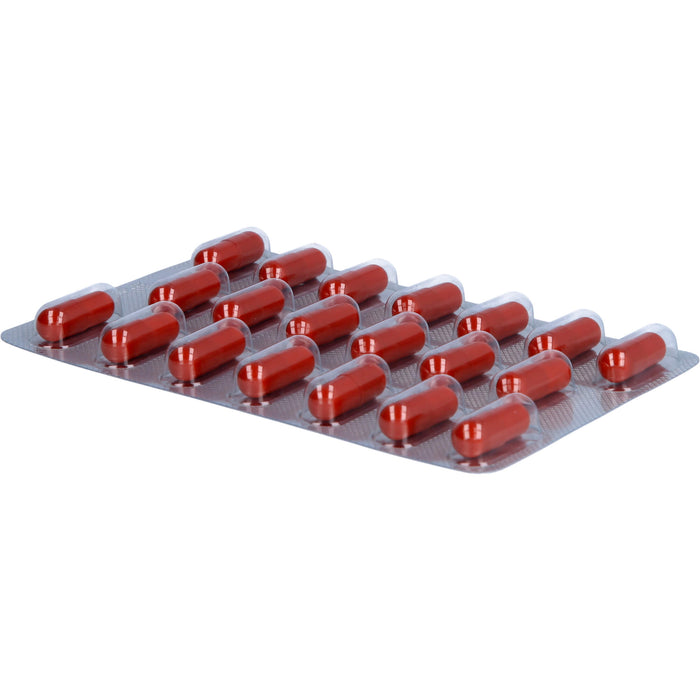 vigoLoges Ashwagandha plus Kapseln, 60 St., 60 pcs. Capsules