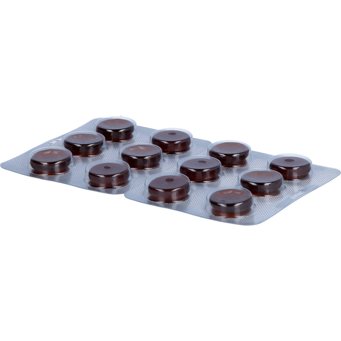Isla Moos Halspastillen bei Heiserkeit, Hals- und Hustenreiz, 120 pcs. Pastilles