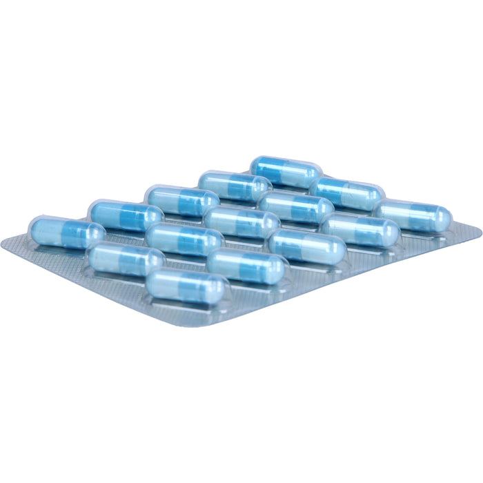 neuroLoges concept Kapseln, 60 pcs. Capsules