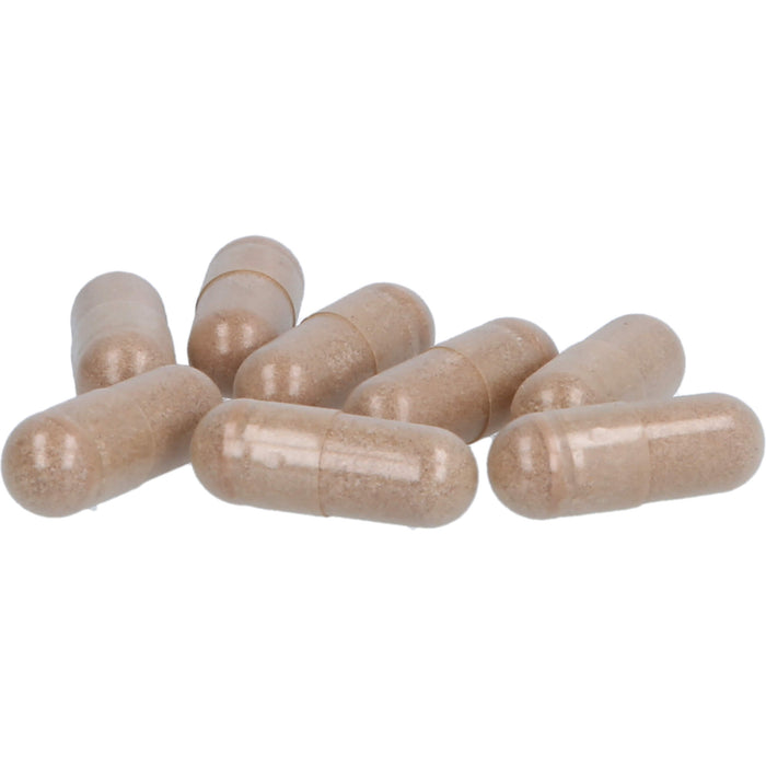 REGEN50 NUTRILAGO, 60 St KAP