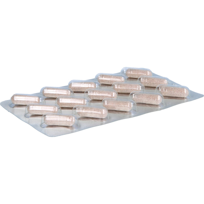 Diatruw Zimtextraktkapseln, 60 pc Capsules