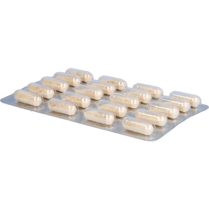 Orthoexpert Immun V Kapseln mit Vitamin A, D und C zur Unterstützung des Immunsystems, 60 pc Capsules