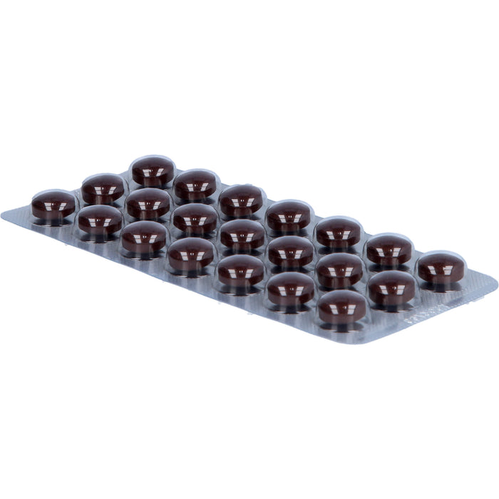 Salus Kräuterblut Floradix Tabletten mit Eisen und Folsäure für Energie und Leistungsfähigkeit, 84 St. Tabletten