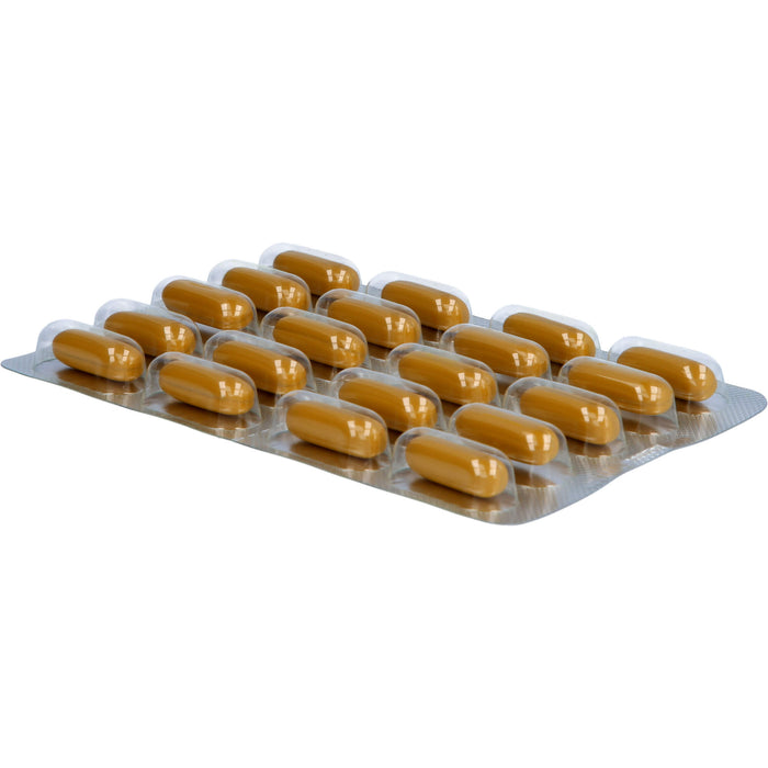 Curcumin-Loges Arthro plus UC-II Kapseln, 120 pc Capsules