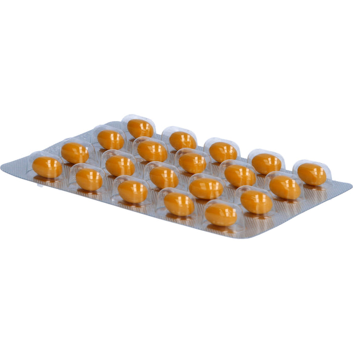 FOKUS IQ QUIRIS Kapseln zur Unterstützung von Gehirnfunktion, geistiger Leistung und kognitiver Funktion, 120 pc Capsules