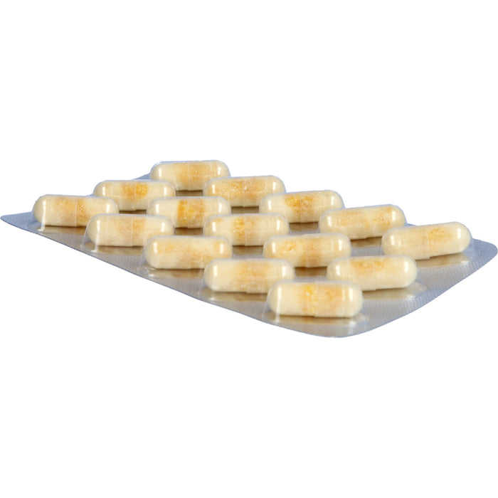 Aminoplus Haarkomplex Kapseln, 60 pc Capsules