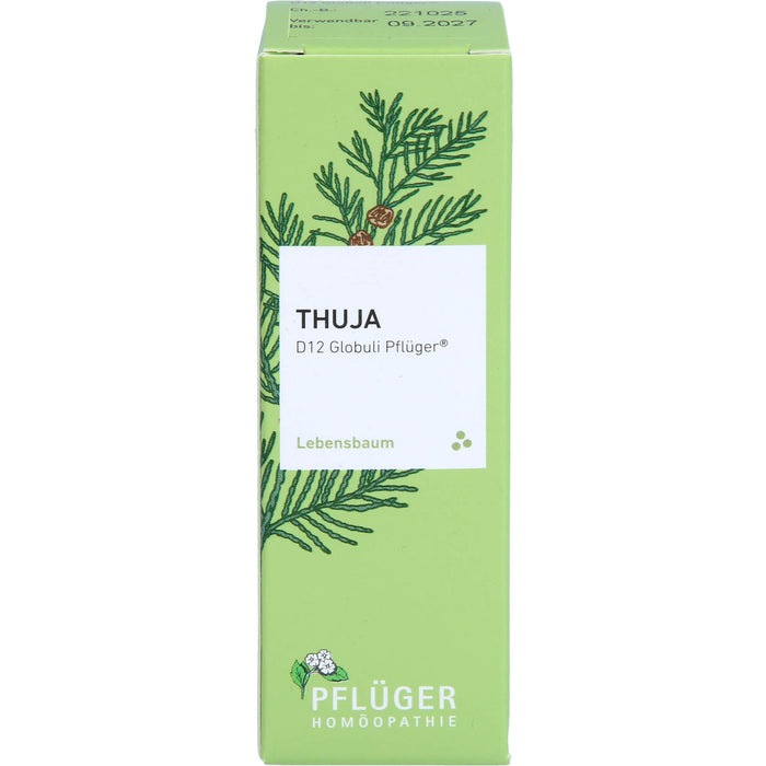 Pflüger Thuja D12 Globuli Dosierspender, 10 g Globuli