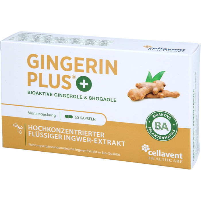 Gingerin Plus hochkonzentriertes flüssiges Ingwer-Extrakt Kapseln, 60 pc Capsules