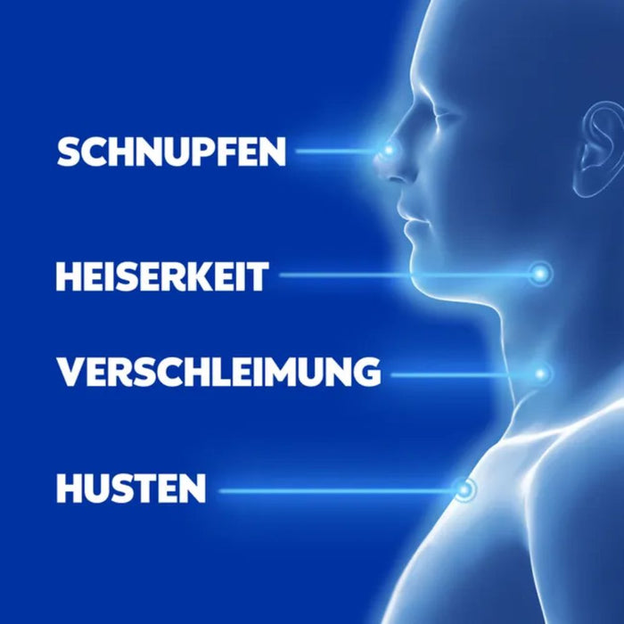 WICK VapoRub Erkältungssalbe im Stick zur Linderung von Erkältungssymptomen, 35 g Cream