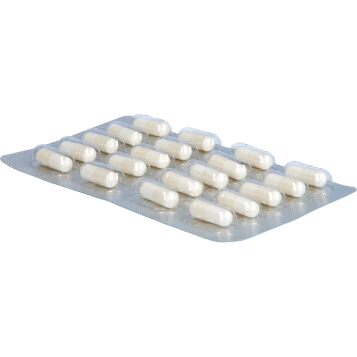 GELENCIUM Glucosamin Chondroitin Kapseln hochdosiert mit Vitamin C, 120 pc Capsules