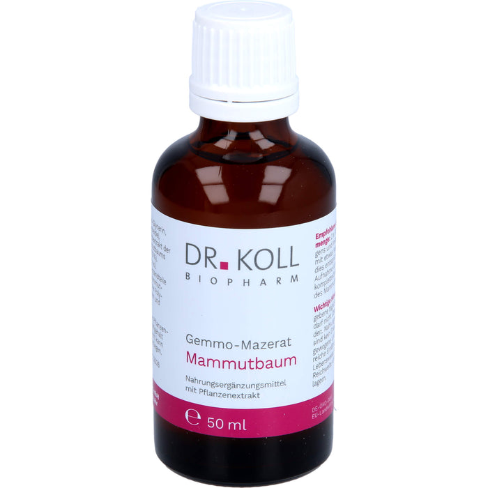 Gemmomazerat Mammutbaum, 50 ml TRO