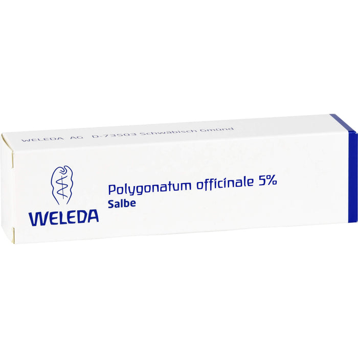 Polygonatum officinale 5% WELEDA Salbe, 25 g Salbe