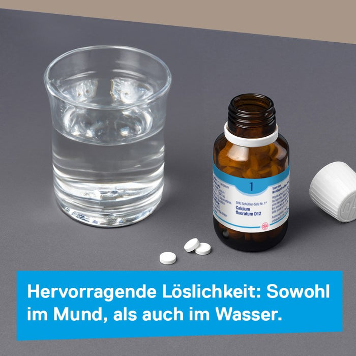 DHU Schüßler-Salz Nr. 1 Calcium fluoratum D12, 200 St. Tabletten