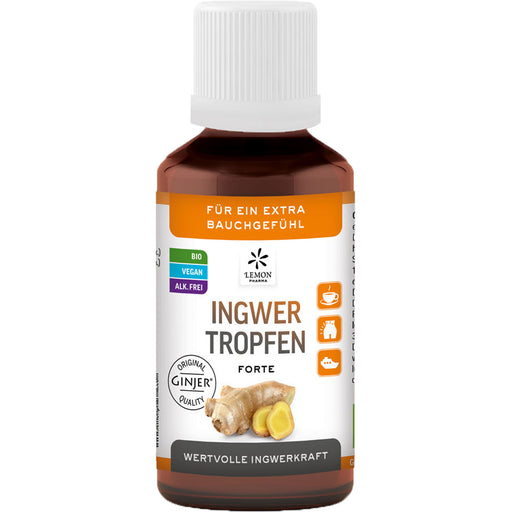 Ingwer GINJER forte Tropfen, konzentrierte Pflanzenkraft für Ihr Wohlbefinden, 50 ml Tropfen