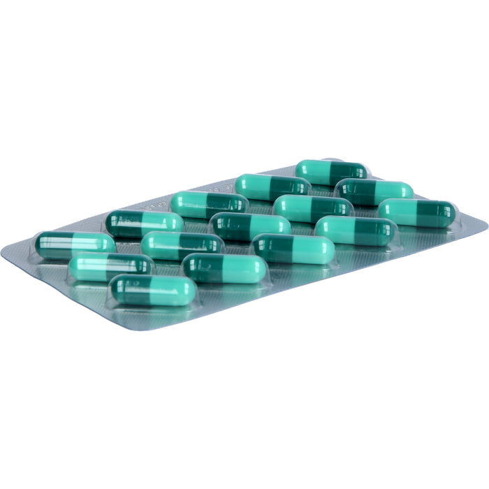GALL PHARMA Yamswurzel + DHEA Kapseln zur Unterstützung eines ausgewogenen Hormonhaushalts, 60 pcs. Capsules