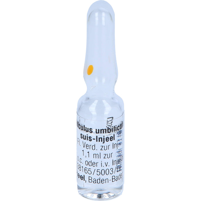 Funiculus umbilicalis suis-Injeel Inj.-Lsg., 10 pcs. Ampoules
