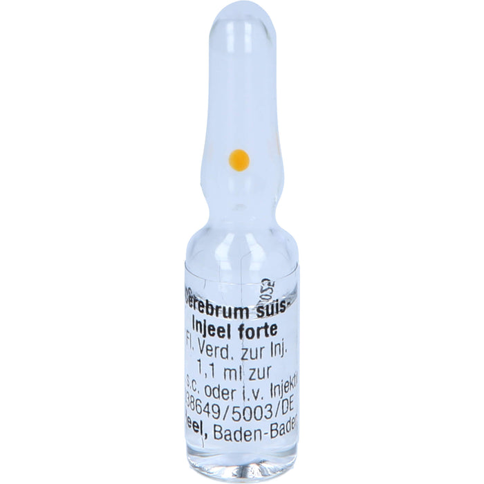 Cerebrum suis-Injeel forte flüssige Verdünnung, 10 pc Ampoules