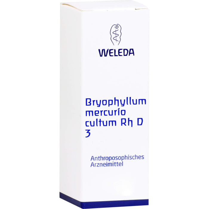 WELEDA Bryophyllum Mercurio cultum Rh D3 flüssige Verdünnung, 20 ml Solution
