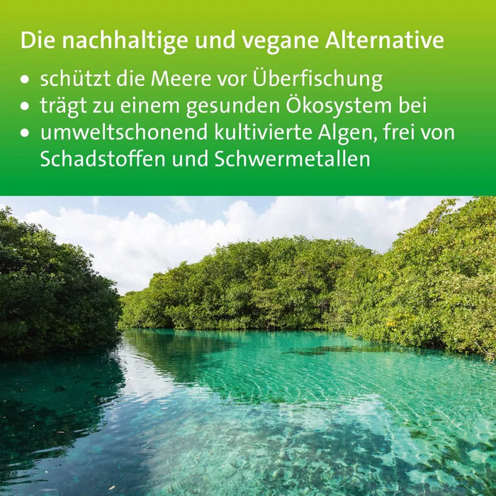 Omega-3 Hevert pflanzlich für eine gesunde Herzfunktion, Gehirnleistung und Sehkraft, 60 pc Capsules