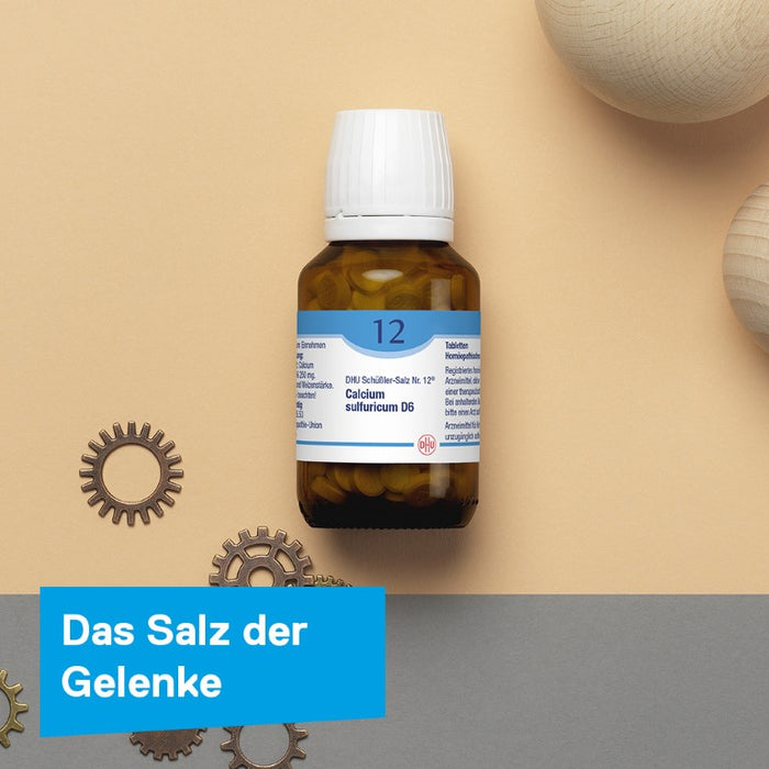 DHU Schüßler-Salz Nr. 12 Calcium sulfuricum D12, 200 pcs. Tablets