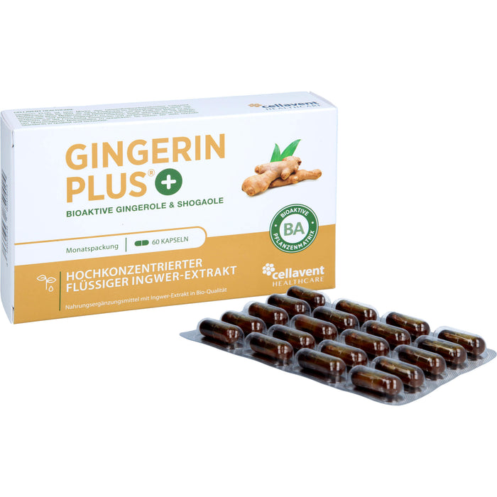 Gingerin Plus hochkonzentriertes flüssiges Ingwer-Extrakt Kapseln, 60 pc Capsules