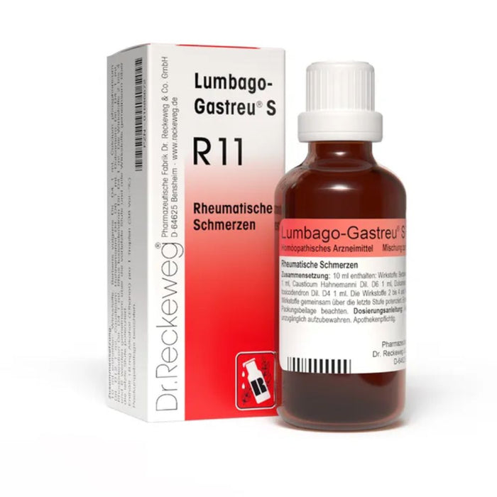 Lumbago-Gastreu S R11 Tropfen bei rheumatischen Schmerzen, 22 ml Lösung