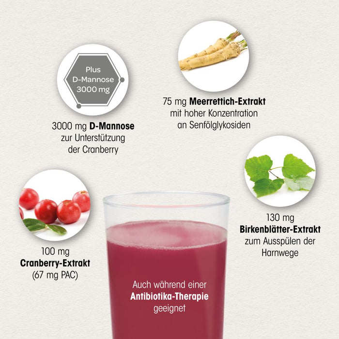 Dr. Böhm Cranberry plus, 10 pcs. Sachets