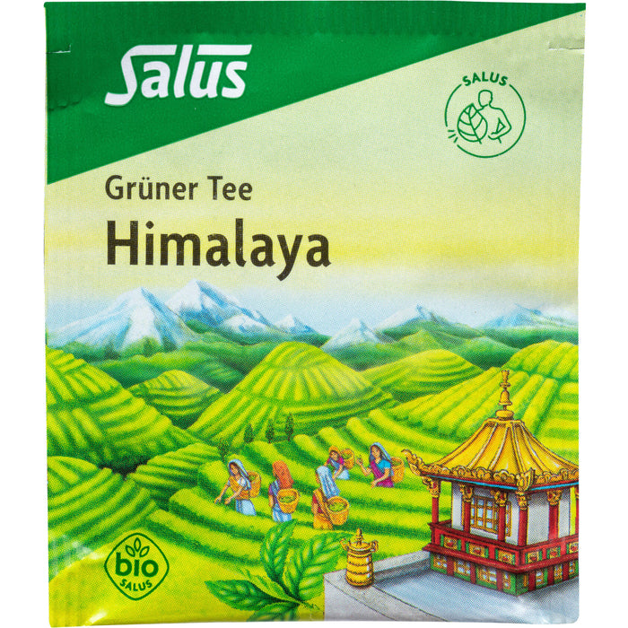 Salus Grüner Tee Himalaya fein aromatisch, zart-blumig, 15 pc Sac filtrant