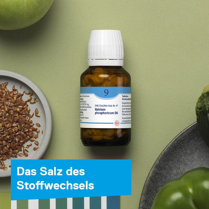 DHU Schüßler-Salz Nr. 9 Natrium phosphoricum D6, 200 St. Tabletten