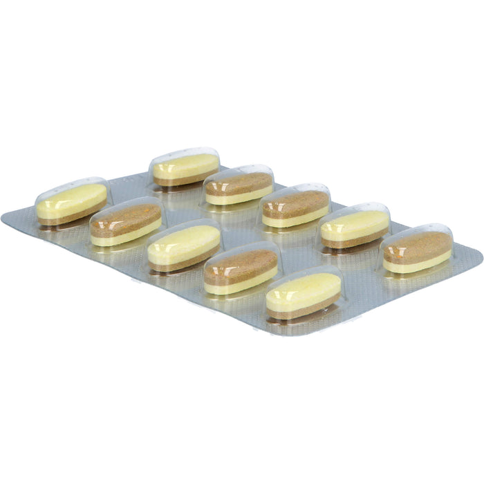 Cetebe Immun Aktiv Tabletten für eine normale Funktion des Immunsystems, 60 St. Tabletten
